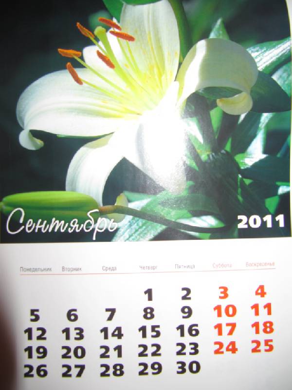 Иллюстрация 5 из 7 для Календарь 2011. "Палитра цветов" | Лабиринт - сувениры. Источник: Мурка