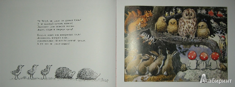 Иллюстрация 75 из 78 для Дети лесного гнома - Эльза Бесков | Лабиринт - книги. Источник: Трухина Ирина