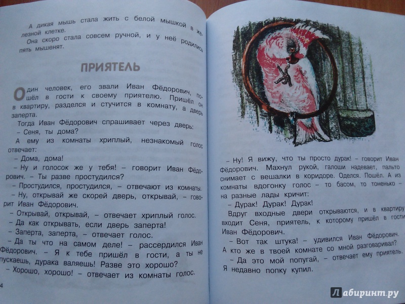 Иллюстрация 45 из 61 для Друзья - Евгений Чарушин | Лабиринт - книги. Источник: Ольга