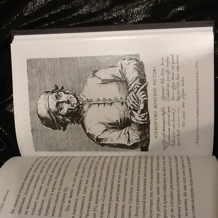 Иллюстрация 7 из 35 для Таинственный Босх. Кошмары средневековья в картинах художника - Нильс Бюттнер | Лабиринт - книги. Источник: Love  Books