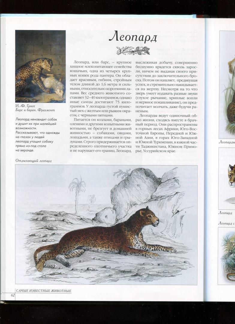 Иллюстрация 26 из 52 для Самые известные животные | Лабиринт - книги. Источник: Лабиринт