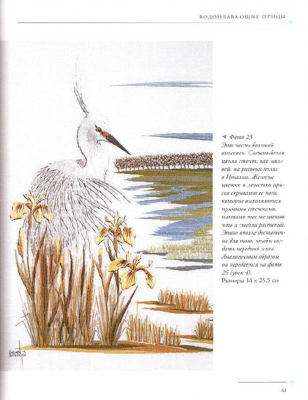 Иллюстрация 30 из 33 для Птицы. Практическое руководство - Хелен Стивенс | Лабиринт - книги. Источник: Юта