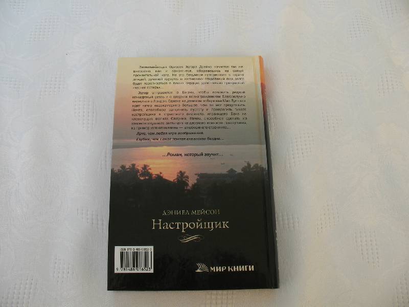 Иллюстрация 29 из 41 для Настройщик: Роман - Дэниел Мейсон | Лабиринт - книги. Источник: tayana