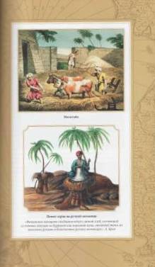 Иллюстрация 12 из 55 для Путешествие по Африке - Альфред Брем | Лабиринт - книги. Источник: Наталья Плотникова