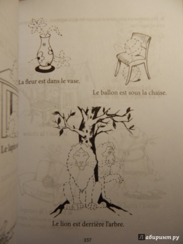Иллюстрация 23 из 37 для Грамматика французского языка для младшего школьного возраста. 2-3 классы - Анна Иванченко | Лабиринт - книги. Источник: mops
