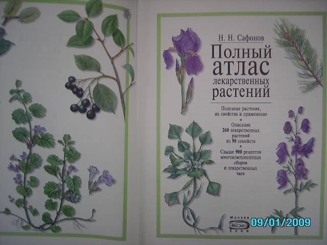 Иллюстрация 1 из 8 для Полный атлас лекарственных растений - Николай Сафонов | Лабиринт - книги. Источник: Звездочка