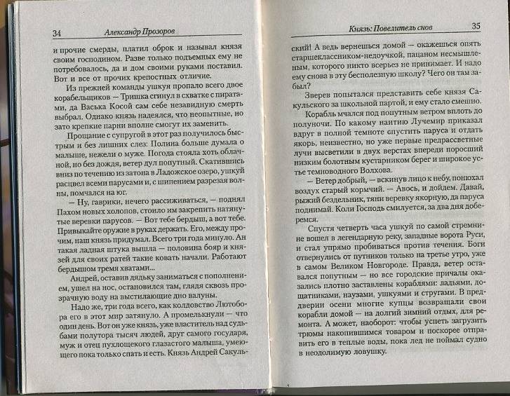 Иллюстрация 18 из 18 для Князь: Повелитель снов - Александр Прозоров | Лабиринт - книги. Источник: Machaon