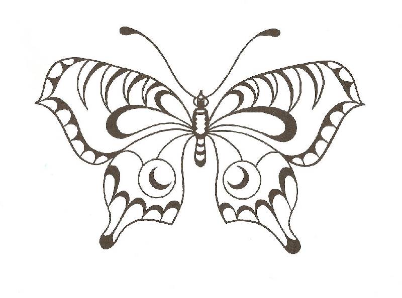 Иллюстрация 13 из 18 для Эстетическое воспитание. Бабочки | Лабиринт - книги. Источник: Кнопа2