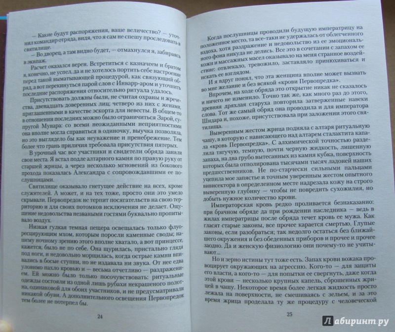 Иллюстрация 14 из 15 для Слово императора - Дарья Кузнецова | Лабиринт - книги. Источник: jane006