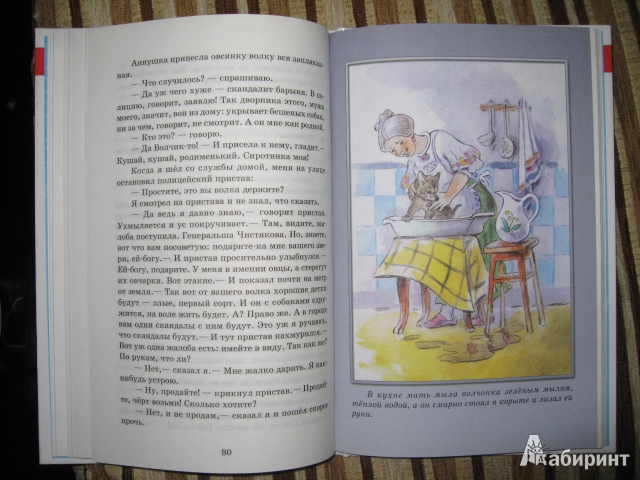 Иллюстрация 8 из 29 для Рассказы - Борис Житков | Лабиринт - книги. Источник: Белкина  Виктория