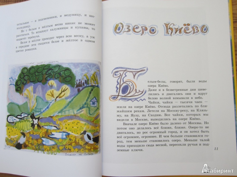 Иллюстрация 7 из 27 для Бабочки - Коваль, Маврина | Лабиринт - книги. Источник: ЮлияО