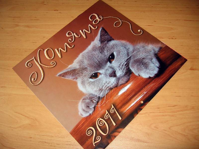 Иллюстрация 3 из 9 для Календарь 2011 "Котята" | Лабиринт - сувениры. Источник: Red cat ;)