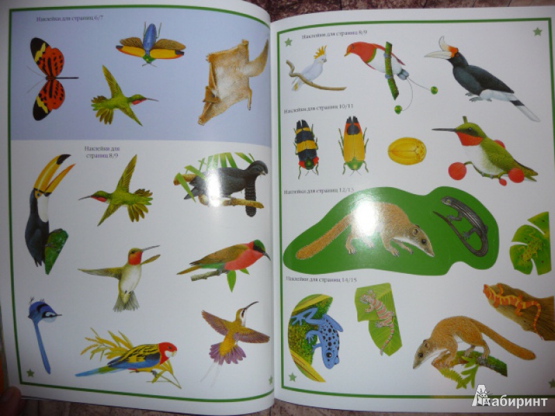 Иллюстрация 9 из 17 для Чудо-наклейки. Мир джунглей - Морис Пледжер | Лабиринт - книги. Источник: Anyta23