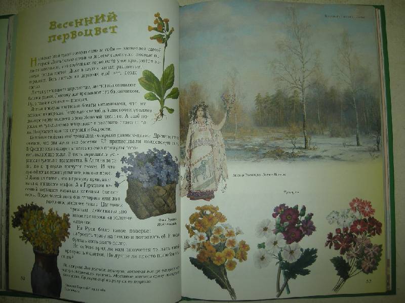 Иллюстрация 64 из 94 для Прогулки по лесу - Сергей Махотин | Лабиринт - книги. Источник: Мартынова  Анна Владимировна