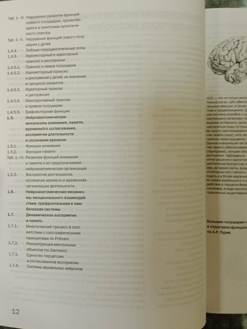 Иллюстрация 14 из 14 для Детская поведенческая неврология. В 2-х томах. Том 1 - Чарльз Ньокиктьен | Лабиринт - книги. Источник: Маркона