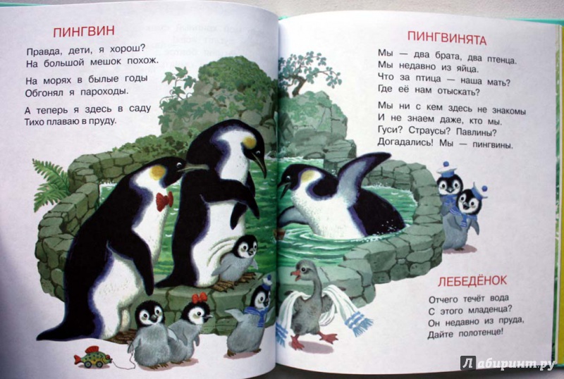 Иллюстрация 6 из 7 для Детки в клетке - Самуил Маршак | Лабиринт - книги. Источник: Сидоренко  Сергей