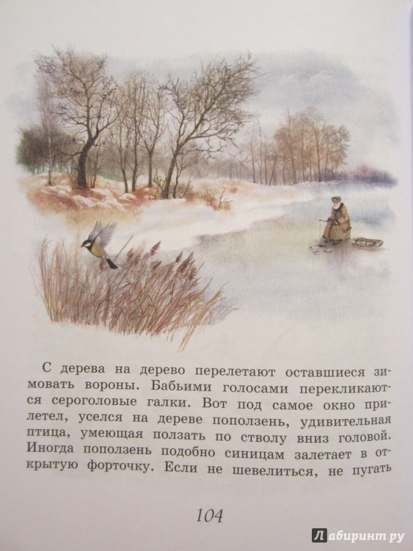 Иллюстрация 15 из 32 для Домик в лесу - Иван Соколов-Микитов | Лабиринт - книги. Источник: ЮлияО