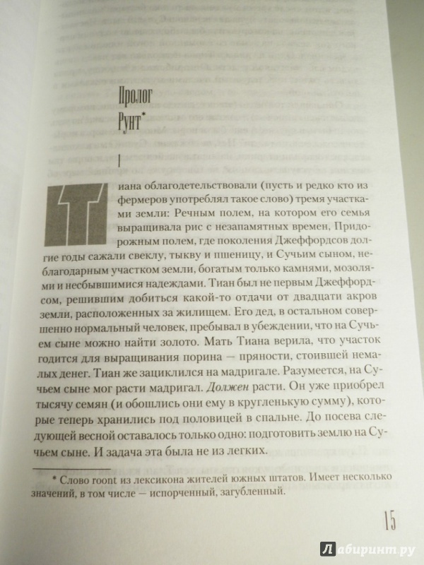 Иллюстрация 34 из 48 для Волки Кальи. Из цикла "Темная Башня" - Стивен Кинг | Лабиринт - книги. Источник: Пира WTH