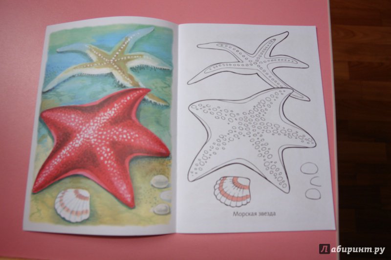 Иллюстрация 11 из 33 для Раскраска Жители морей | Лабиринт - книги. Источник: Маргарита