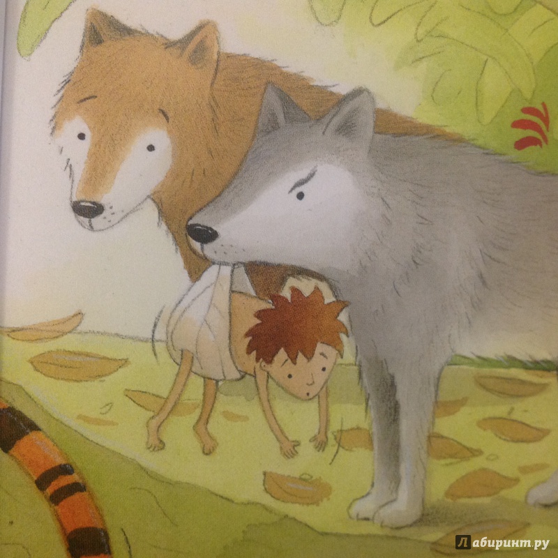 Иллюстрация 7 из 21 для The Jungle Book - Jillian Powell | Лабиринт - книги. Источник: Sage Tea