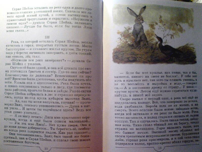 Иллюстрация 17 из 18 для Серая Шейка - Дмитрий Мамин-Сибиряк | Лабиринт - книги. Источник: Спанч Боб