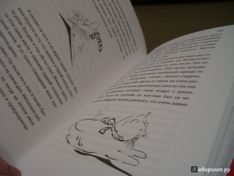 Иллюстрация 22 из 58 для Подарок от кота Боба - Джеймс Боуэн | Лабиринт - книги. Источник: КошкаПолосатая