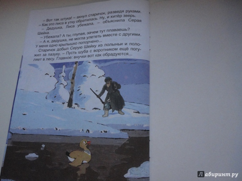 Иллюстрация 5 из 24 для Серая шейка - Дмитрий Мамин-Сибиряк | Лабиринт - книги. Источник: flower 11