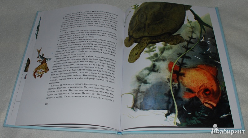 Иллюстрация 36 из 65 для Приключения Карпика - Андрей Клыков | Лабиринт - книги. Источник: Книжный кот