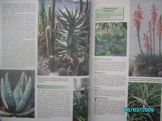 Иллюстрация 6 из 12 для Самая полная энциклопедия комнатных растений | Лабиринт - книги. Источник: Звездочка