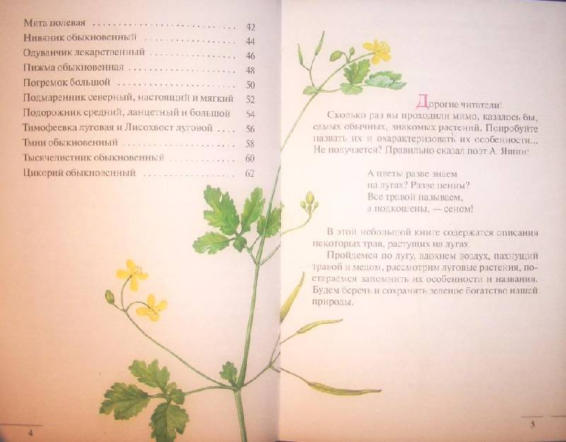 Иллюстрация 6 из 21 для Атлас: Растения луга - Козлова, Сивоглазов | Лабиринт - книги. Источник: Сокол1
