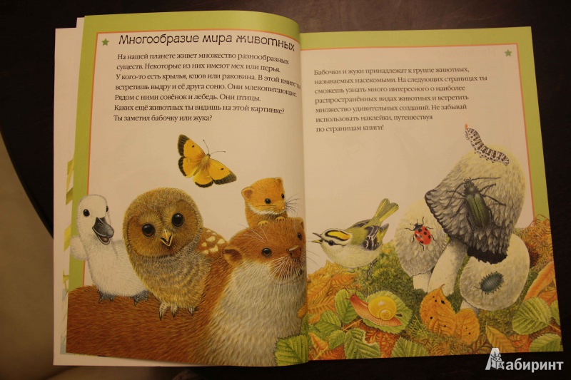 Иллюстрация 5 из 15 для Чудо-наклейки. Такие разные животные | Лабиринт - книги. Источник: Vilvarin  Laurea