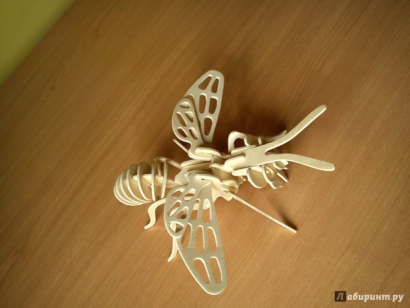 Иллюстрация 2 из 6 для Сборная деревянная модель "Пчела" (E030) | Лабиринт - игрушки. Источник: Данилов  Александр Сергеевич
