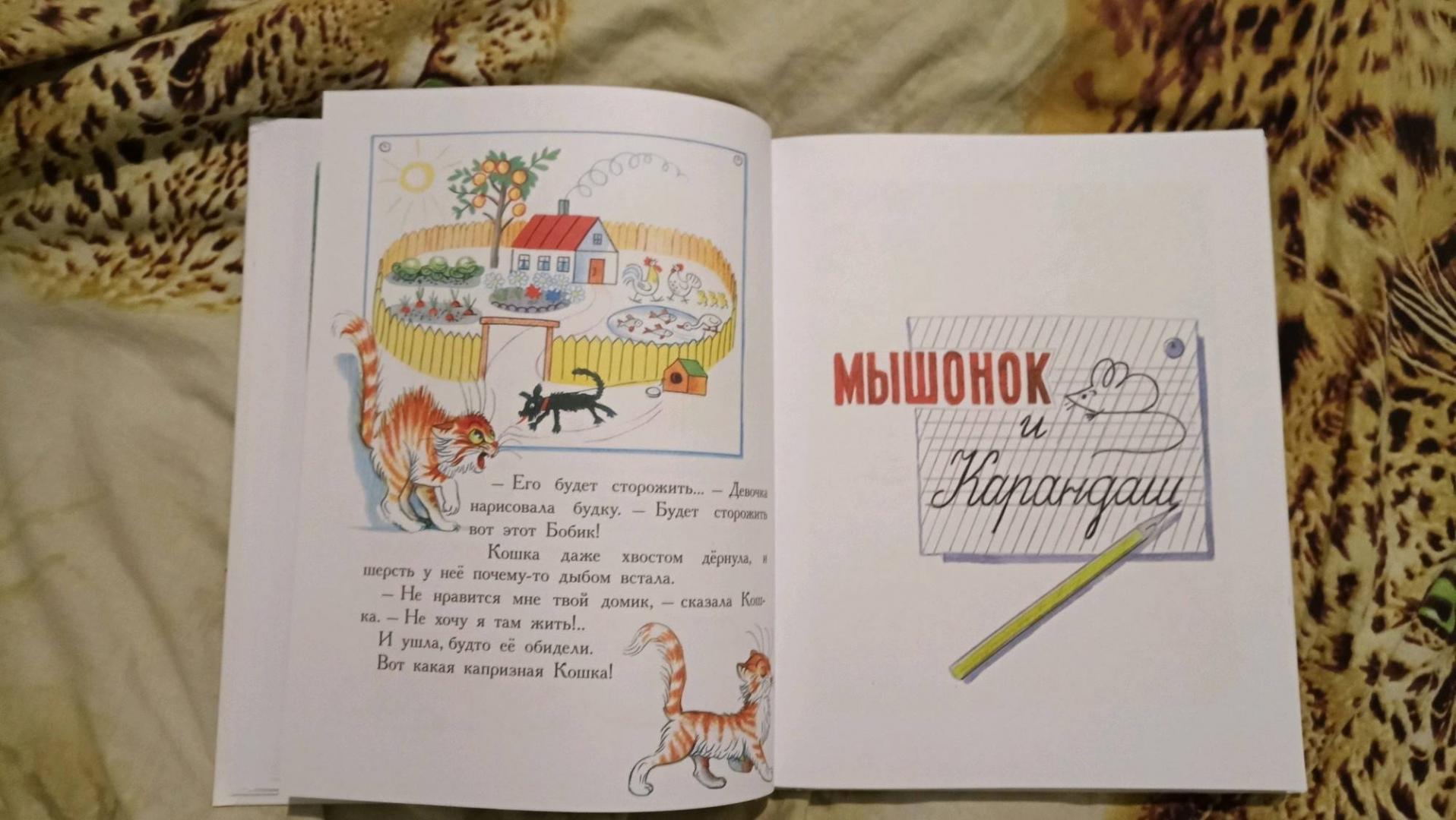 Иллюстрация 35 из 69 для Сказки и картинки - Владимир Сутеев | Лабиринт - книги. Источник: Синичка