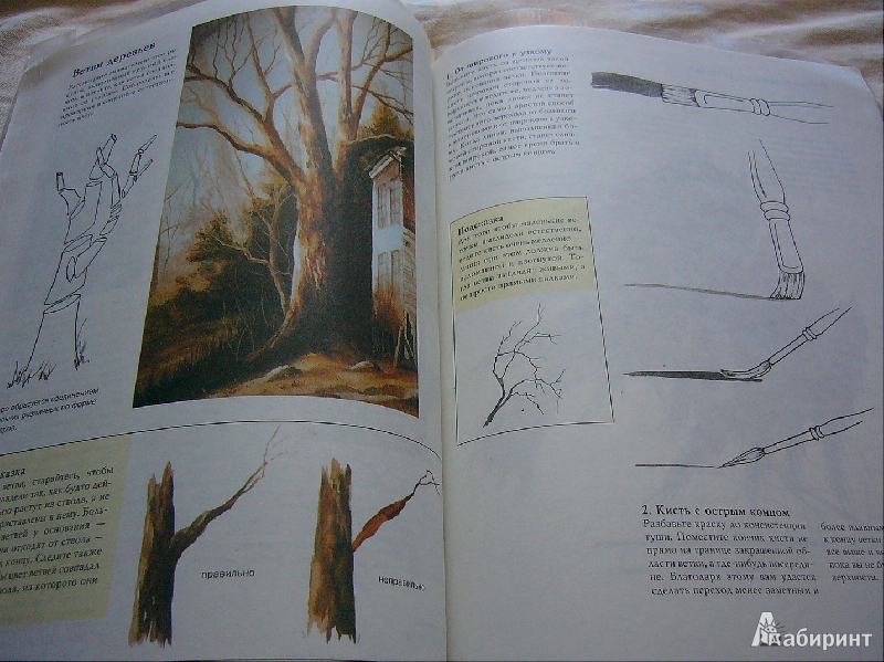 Иллюстрация 9 из 23 для Рисунок акриловыми красками - Вики Лорд | Лабиринт - книги. Источник: Nika
