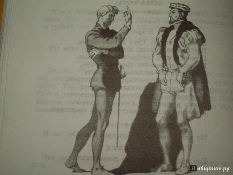 Иллюстрация 13 из 16 для Гамлет, принц Датский - Уильям Шекспир | Лабиринт - книги. Источник: КошкаПолосатая
