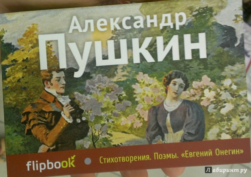 Иллюстрация 4 из 9 для Стихотворения. Поэмы. Евгений Онегин - Александр Пушкин | Лабиринт - книги. Источник: Annexiss