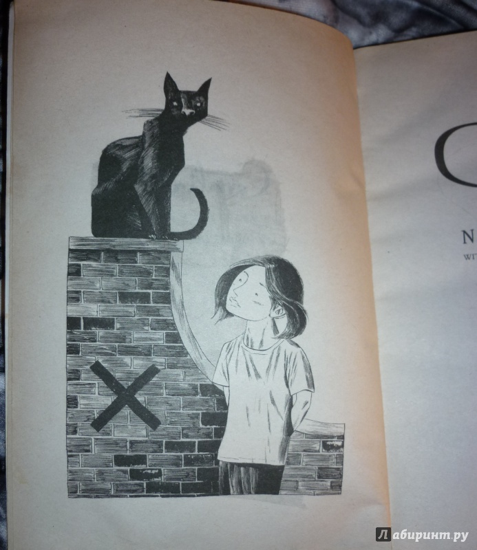 Иллюстрация 12 из 30 для Coraline - Neil Gaiman | Лабиринт - книги. Источник: Lapsus Linguae