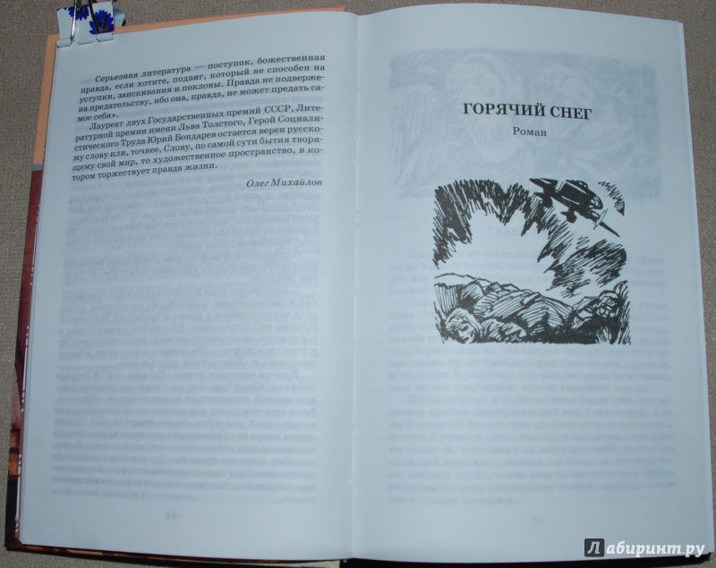 Иллюстрация 33 из 41 для Горячий снег - Юрий Бондарев | Лабиринт - книги. Источник: Книжный кот