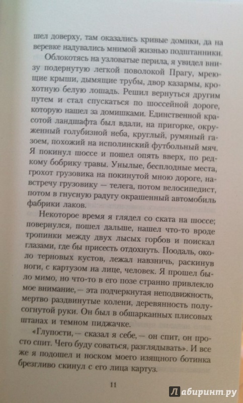 Иллюстрация 13 из 26 для Отчаяние: Роман - Владимир Набоков | Лабиринт - книги. Источник: Белова  Елена