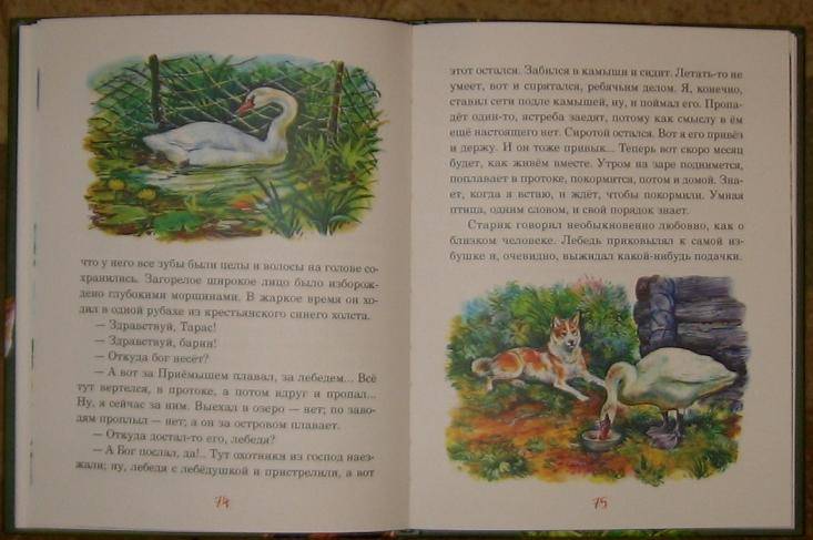 Иллюстрация 21 из 36 для Рассказы старого охотника - Дмитрий Мамин-Сибиряк | Лабиринт - книги. Источник: акка