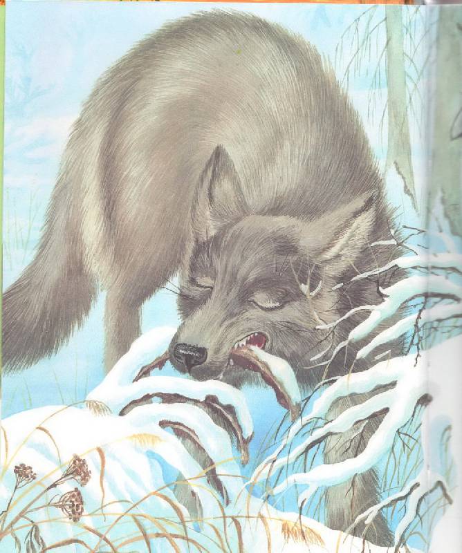 Иллюстрация 24 из 36 для Большая волчья книга: Сказки | Лабиринт - книги. Источник: Стрекоза