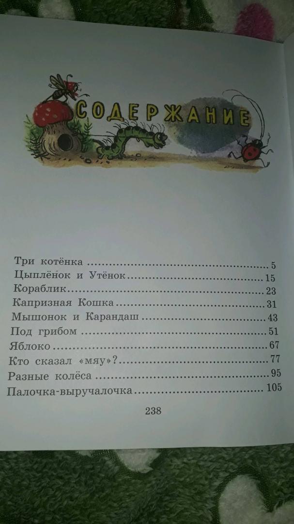 Иллюстрация 148 из 165 для Сказки и картинки - Владимир Сутеев | Лабиринт - книги. Источник: Буслаева Евгения
