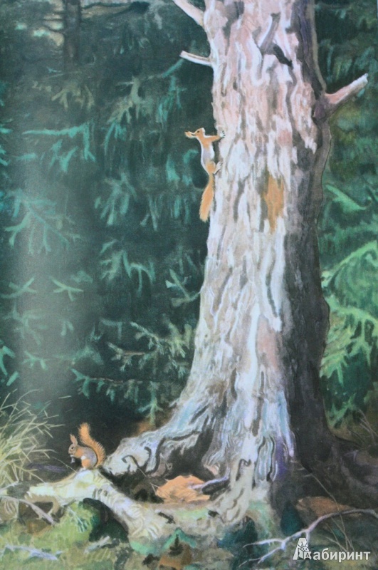 Иллюстрация 27 из 69 для Год в лесу - Иван Соколов-Микитов | Лабиринт - книги. Источник: Anna  Zelenaya
