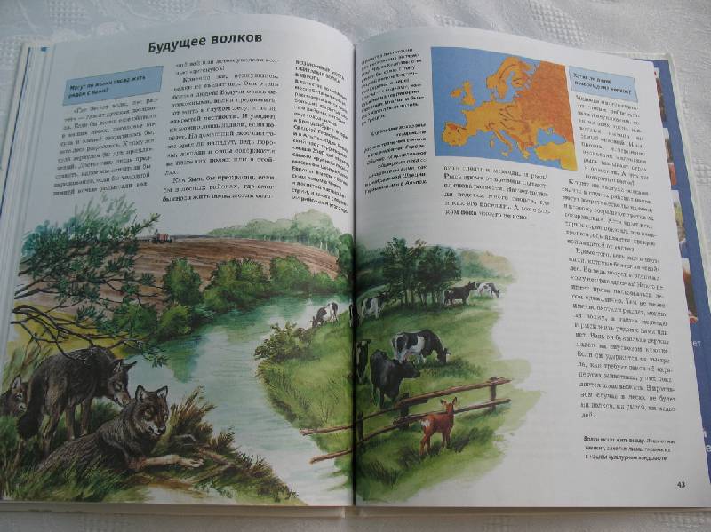 Иллюстрация 30 из 30 для Волки - Эрик Цимен | Лабиринт - книги. Источник: tayana