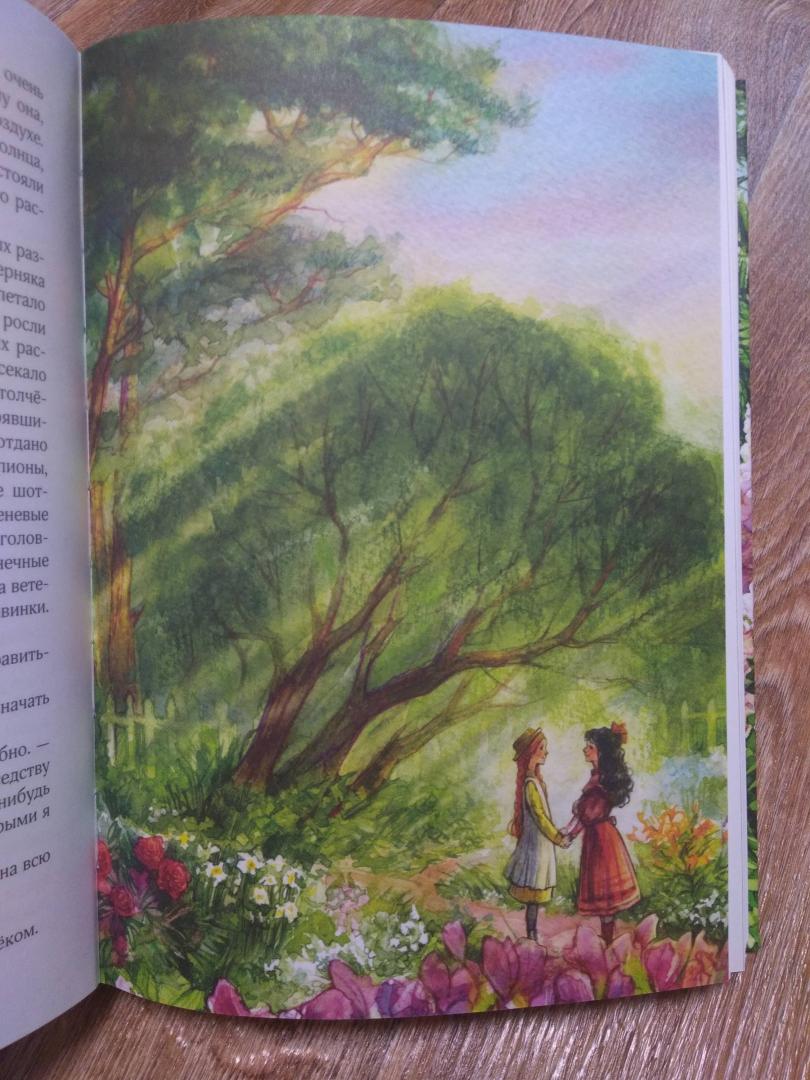 Иллюстрация 91 из 141 для Аня с фермы Зеленые Крыши - Люси Монтгомери | Лабиринт - книги. Источник: Елена