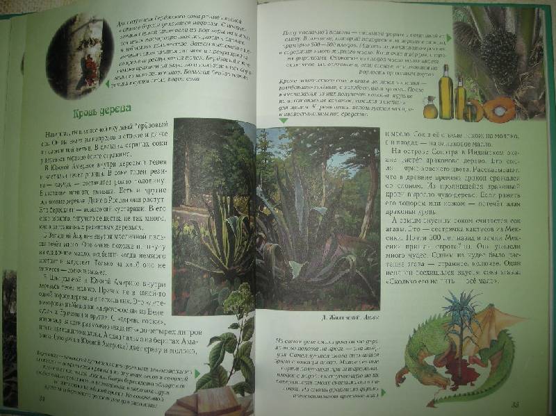 Иллюстрация 43 из 49 для Занимательная ботаника - Светлана Лаврова | Лабиринт - книги. Источник: Мартынова  Анна Владимировна