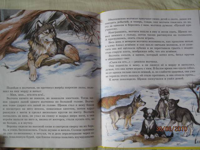 Иллюстрация 38 из 55 для Сказки о животных для малышей - Мамин-Сибиряк, Толстой, Ушинский | Лабиринт - книги. Источник: васина лариса игоревна