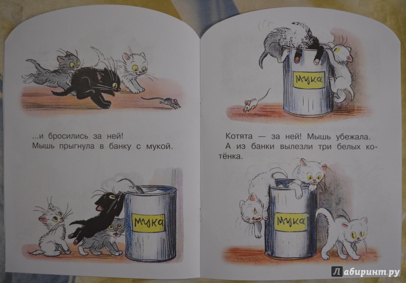 Иллюстрация 12 из 19 для Три котёнка - Владимир Сутеев | Лабиринт - книги. Источник: Дунечка