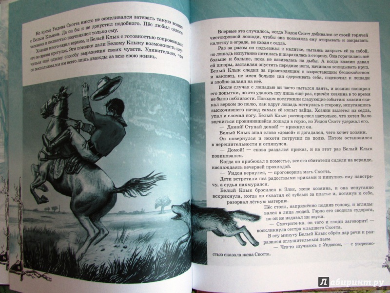 Иллюстрация 16 из 33 для Белый клык - Джек Лондон | Лабиринт - книги. Источник: настя тимарг