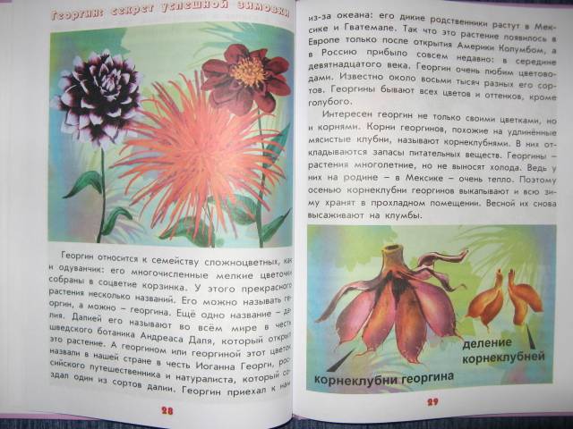 Иллюстрация 3 из 25 для Настоящая ботаника для мальчиков и девочек - Антонина Лукьянова | Лабиринт - книги. Источник: varta